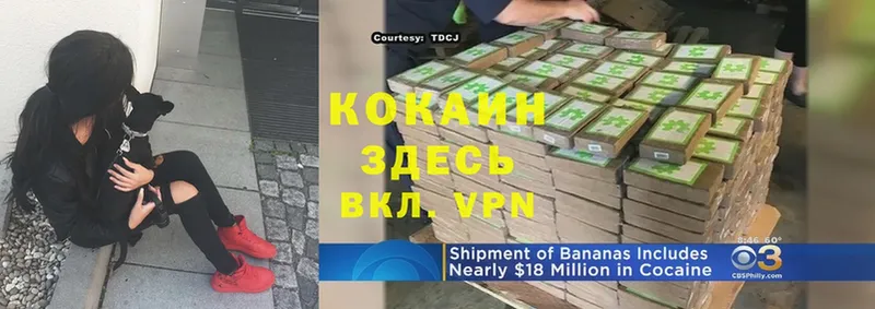 Cocaine Эквадор  купить закладку  Краснозаводск 